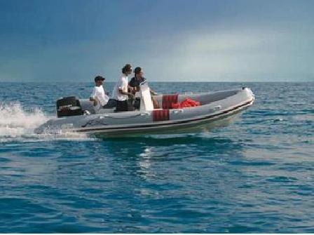 Semi-rigide Narwhal 450